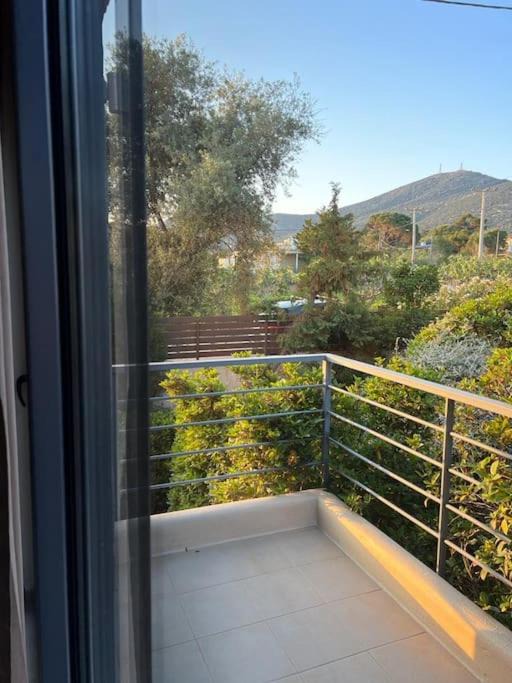 Photo of Others in Porto Rafti