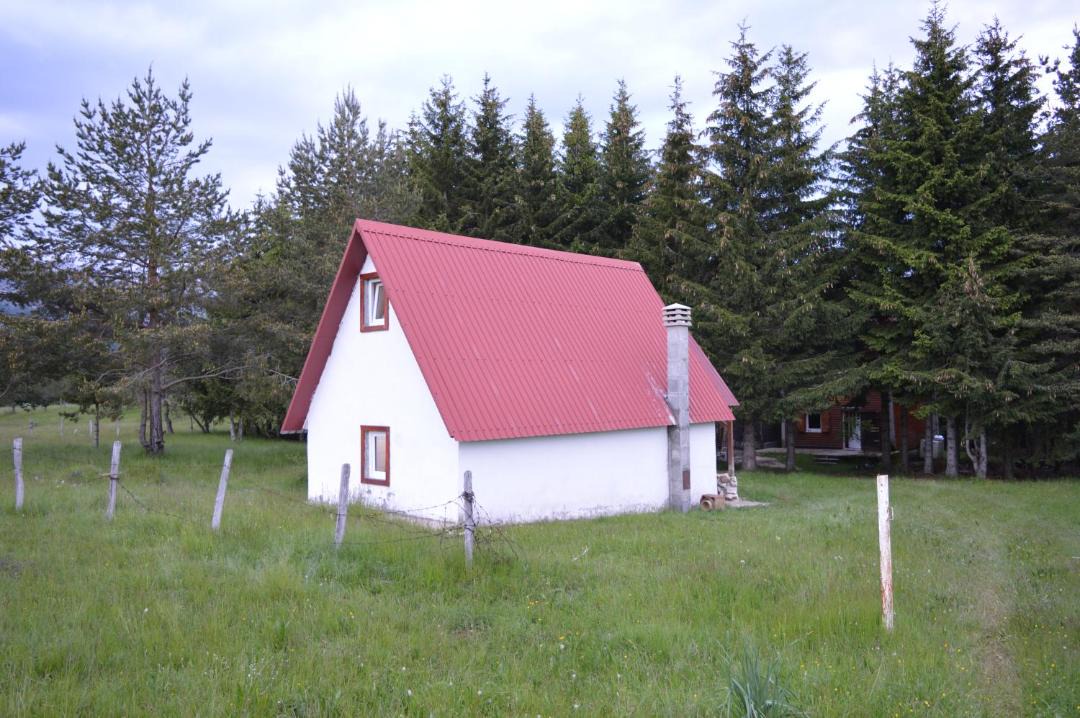 Photo of Others in Zabljak