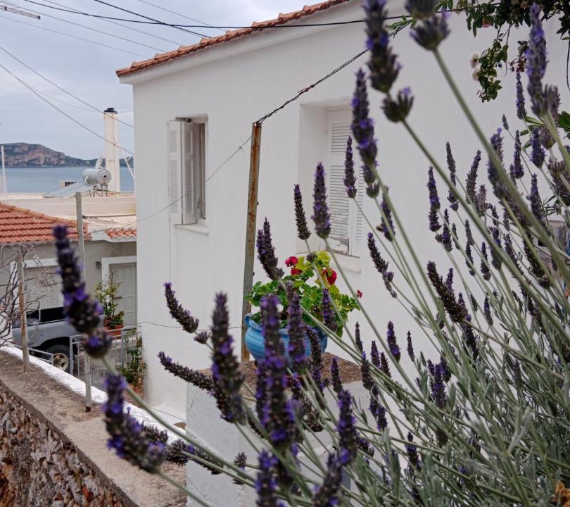 Photo of Others in Pylos