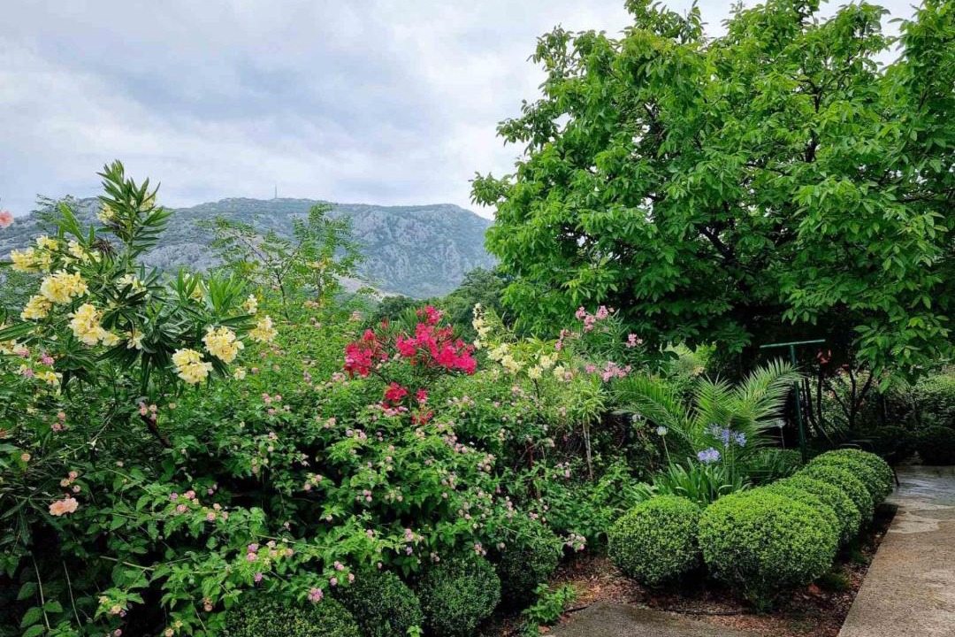 Photo of Outdoor in Seoca