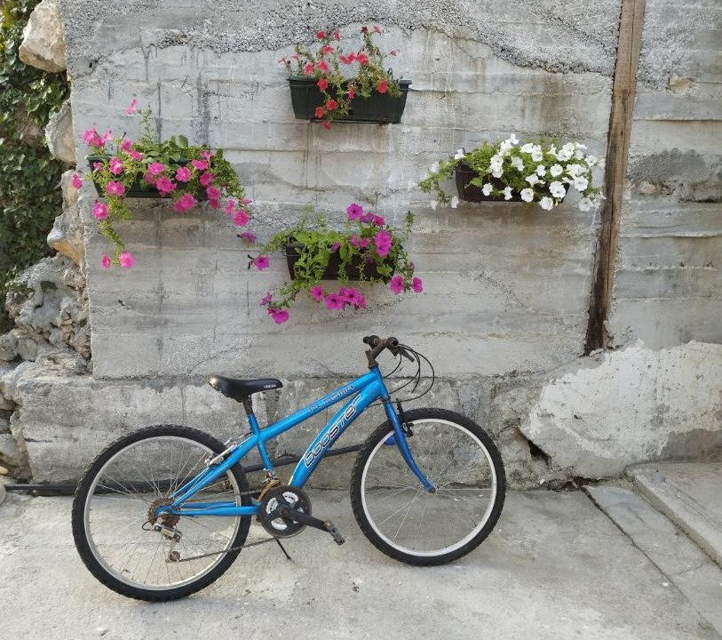 Photo of Others in Kotor