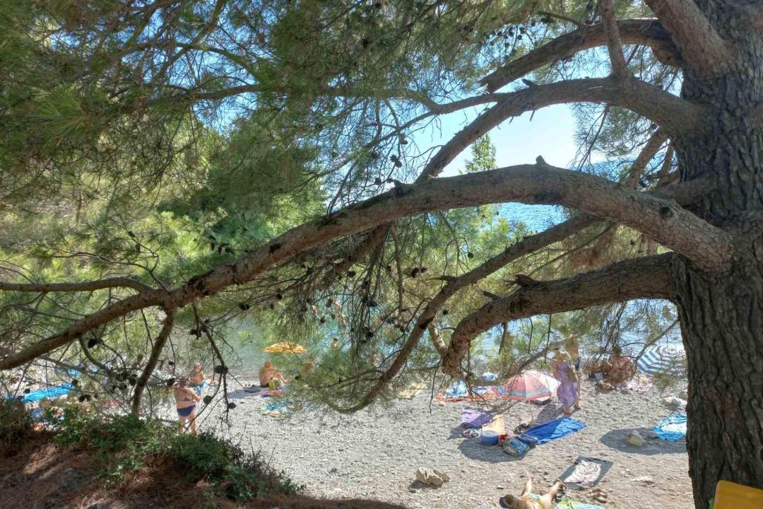 Photo of Others in Zgrade