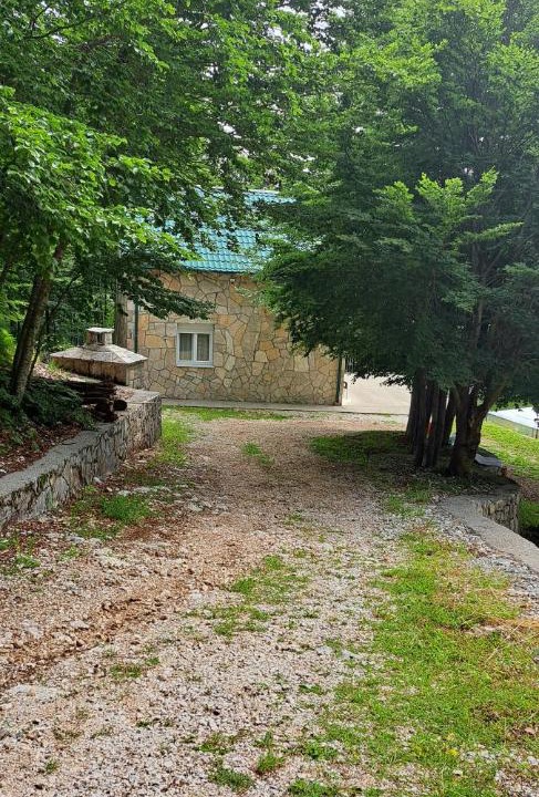 Photo of Others in Cetinje