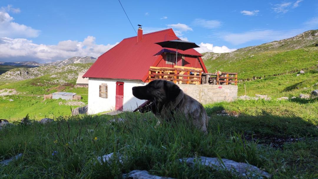 Photo of Others in Kolasin Municipality