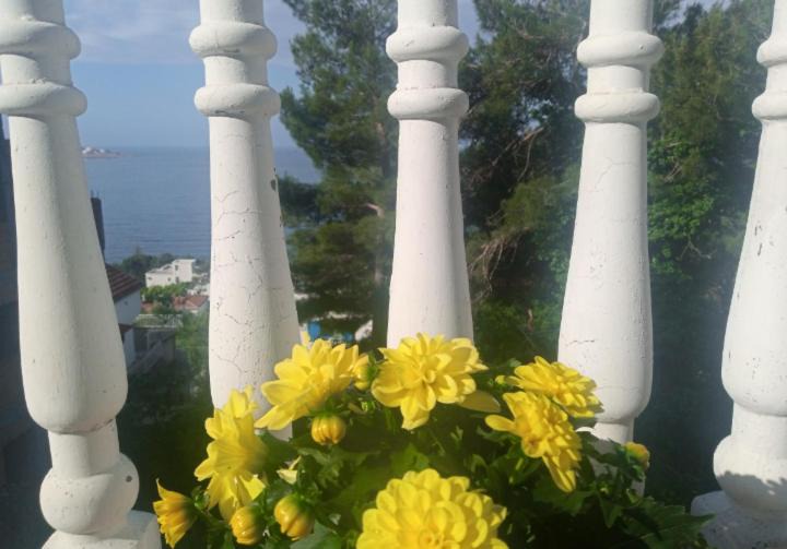 Photo of Patio Balcony in Susanj