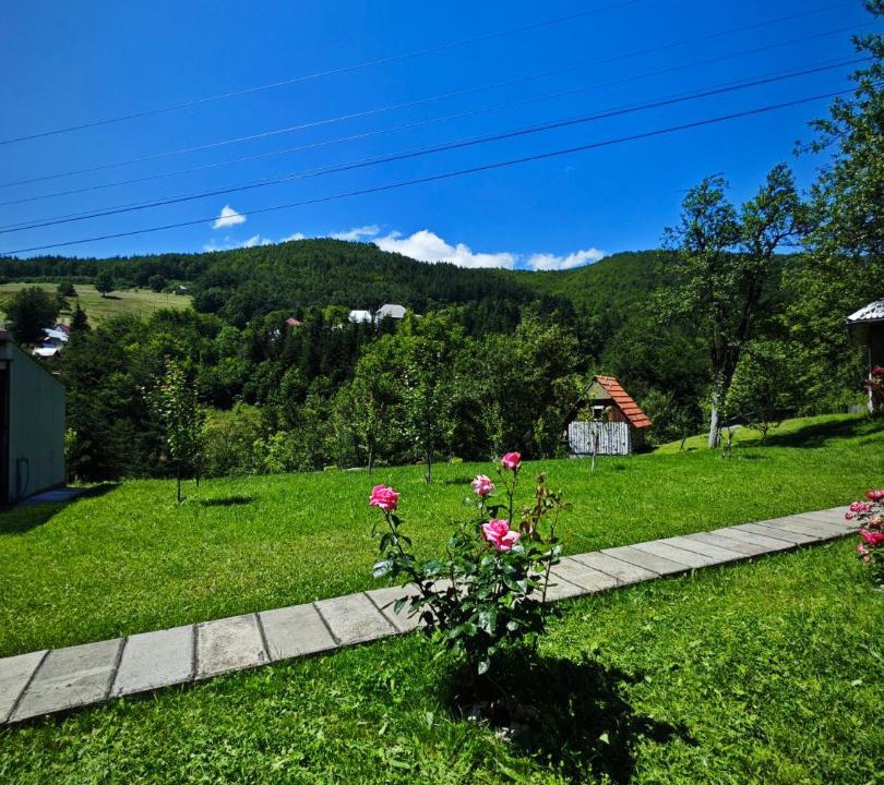 Photo of Others in Mojkovac