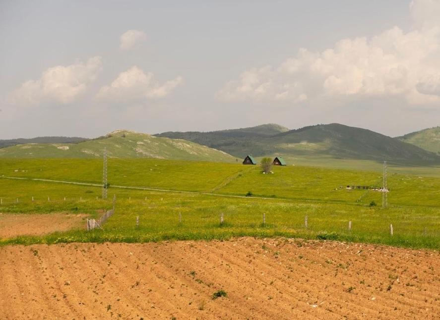 Photo of Others in Zabljak