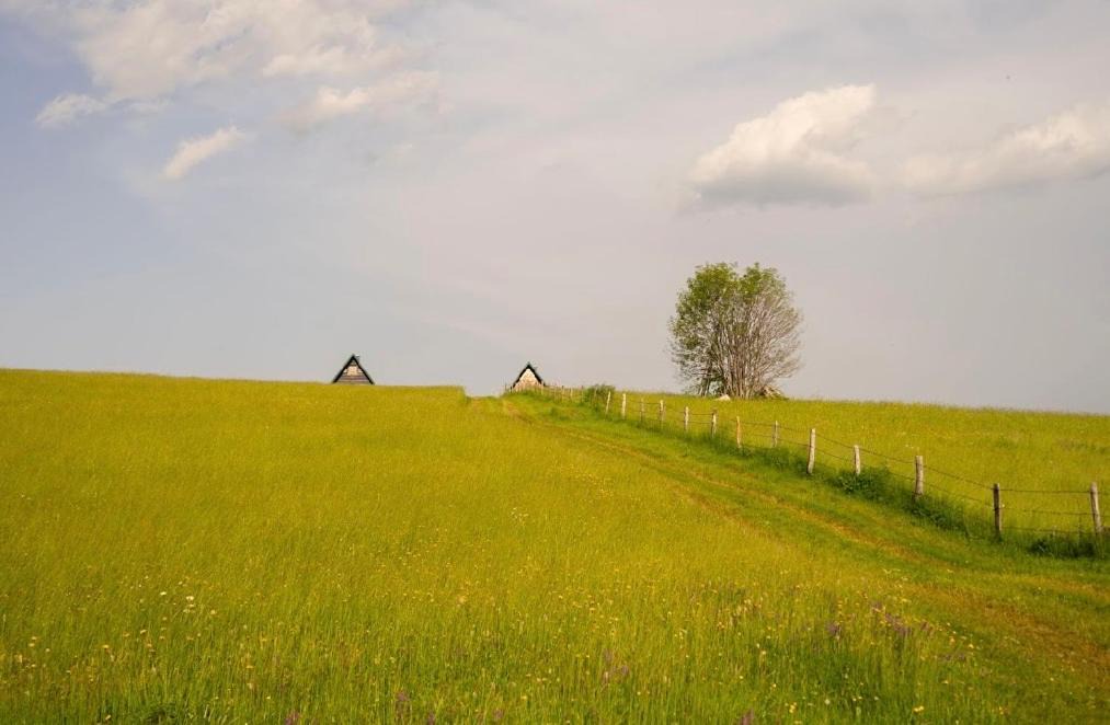 Photo of Others in Zabljak