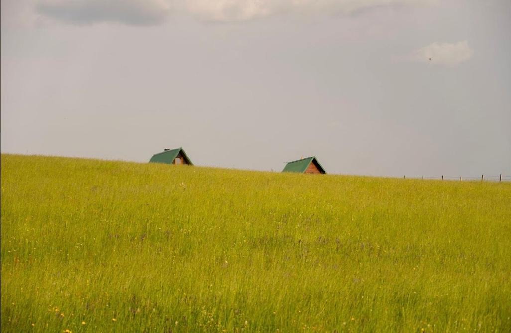 Photo of Others in Zabljak