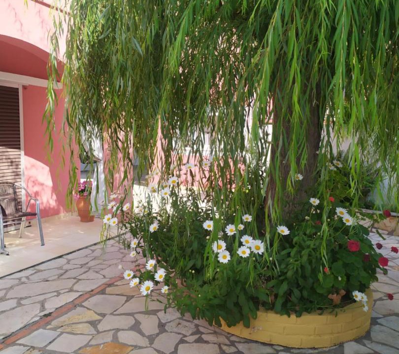 Photo of Others in Benitses