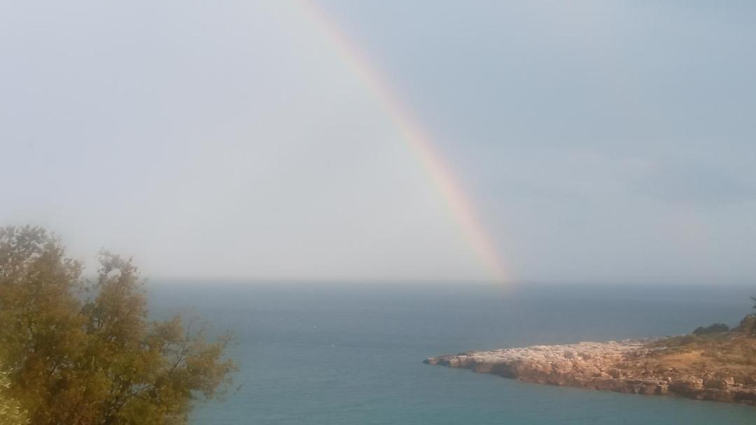Photo of Others in Aliki