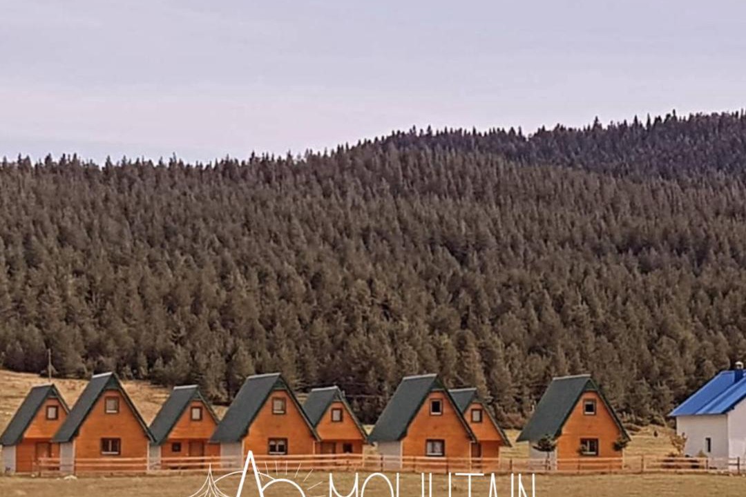 Photo of Others in Zabljak