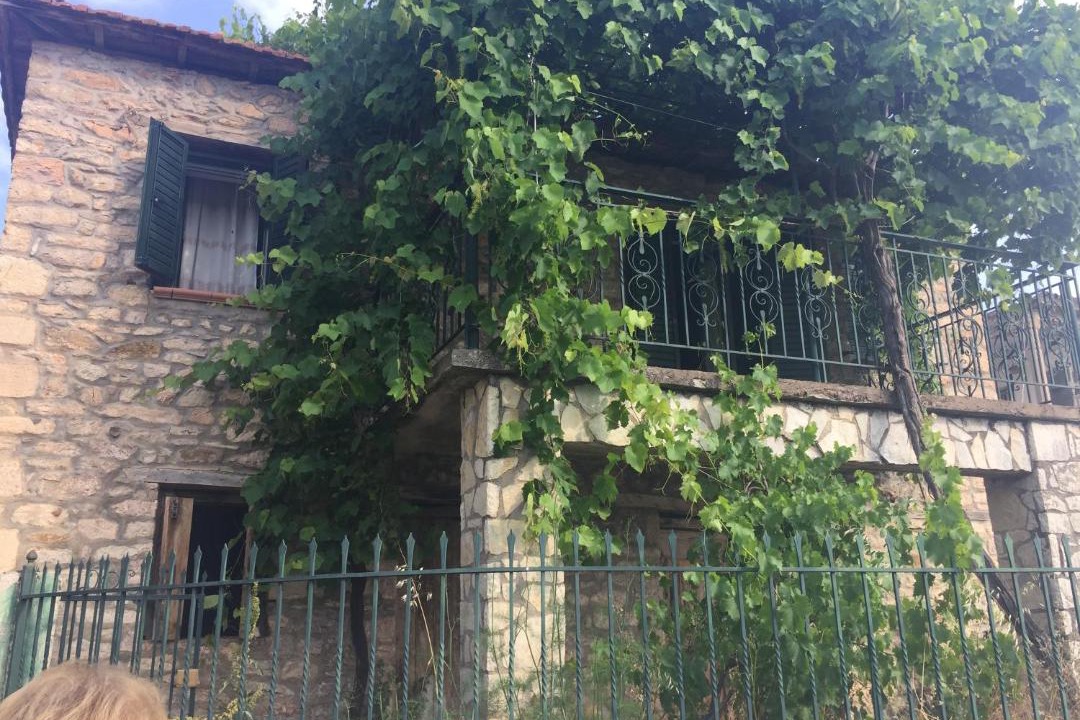 Photo of Others in Kalavrita