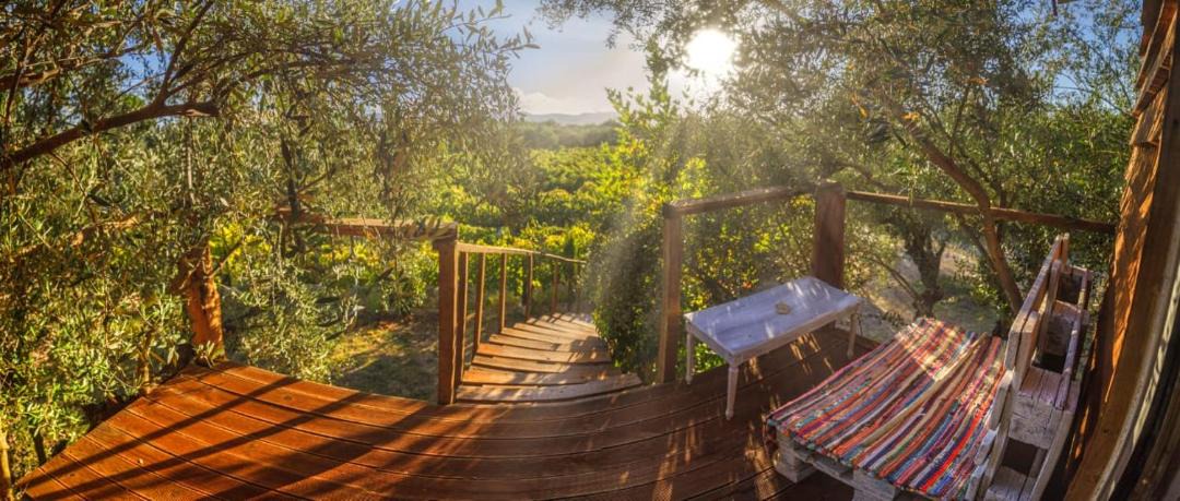 Photo of Patio Balcony in Neromilos