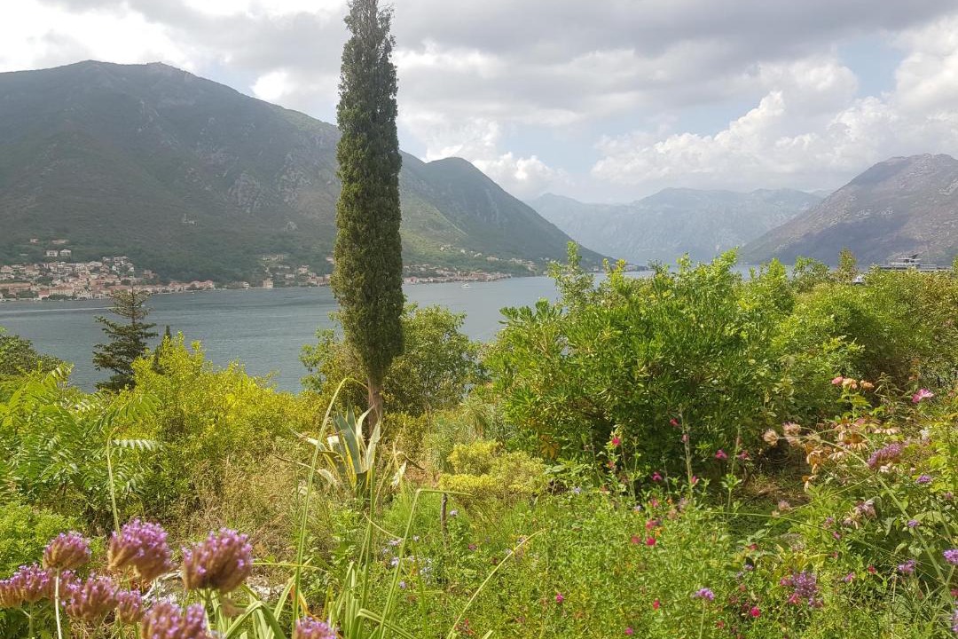 Photo of Outdoor in Dobrota