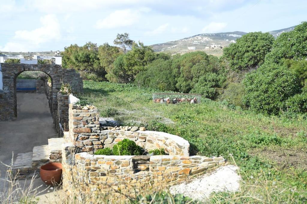 Photo of Others in Tinos Town