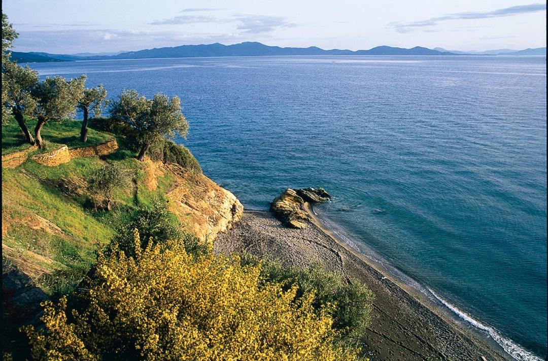 Photo of Others in Afissos