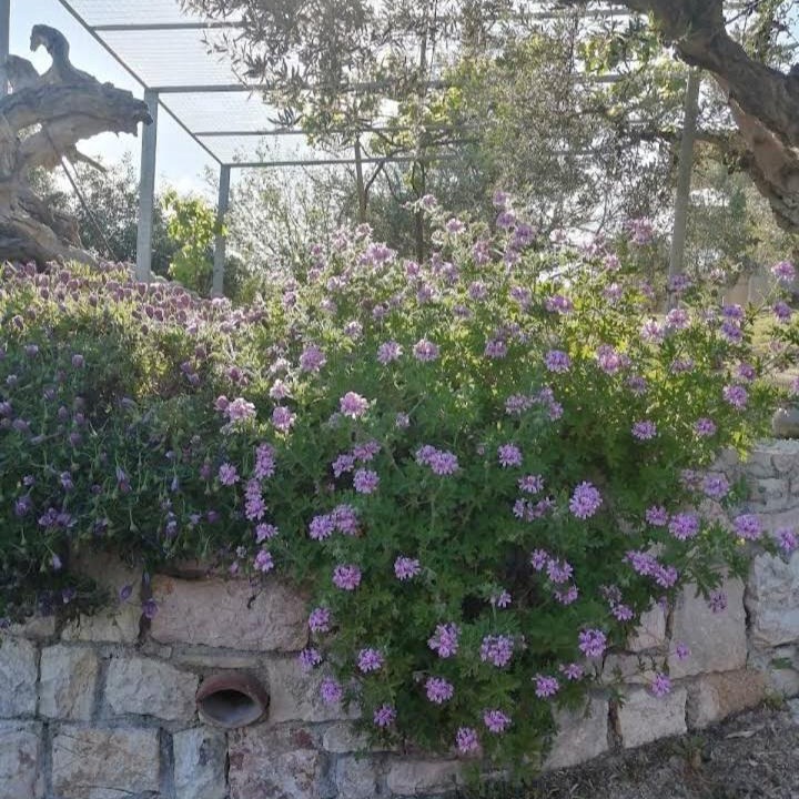Photo of Buildings in Pylos-Nestoras