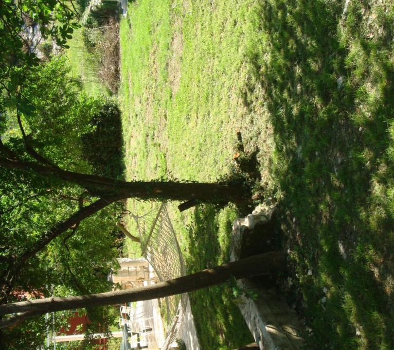 Photo of Others in Donji Morinj
