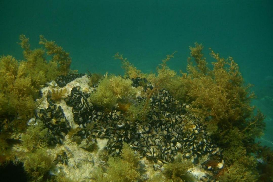 Photo of Others in Utjeha
