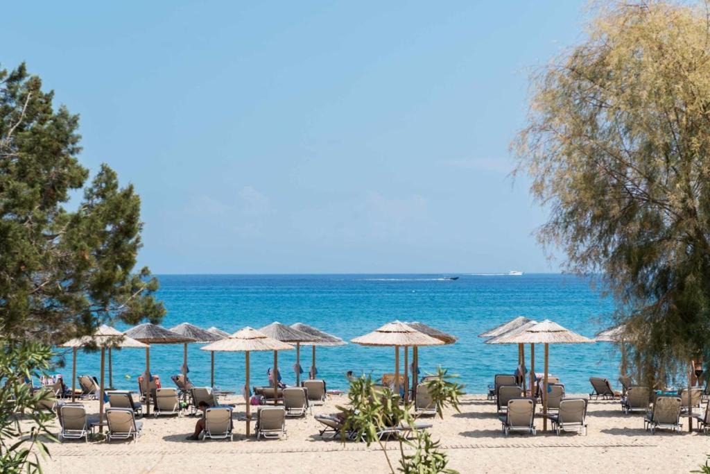 Photo of Others in Skala