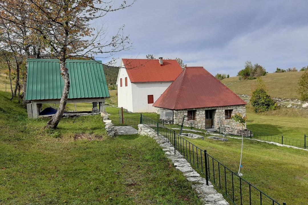 Photo of Others in Savnik