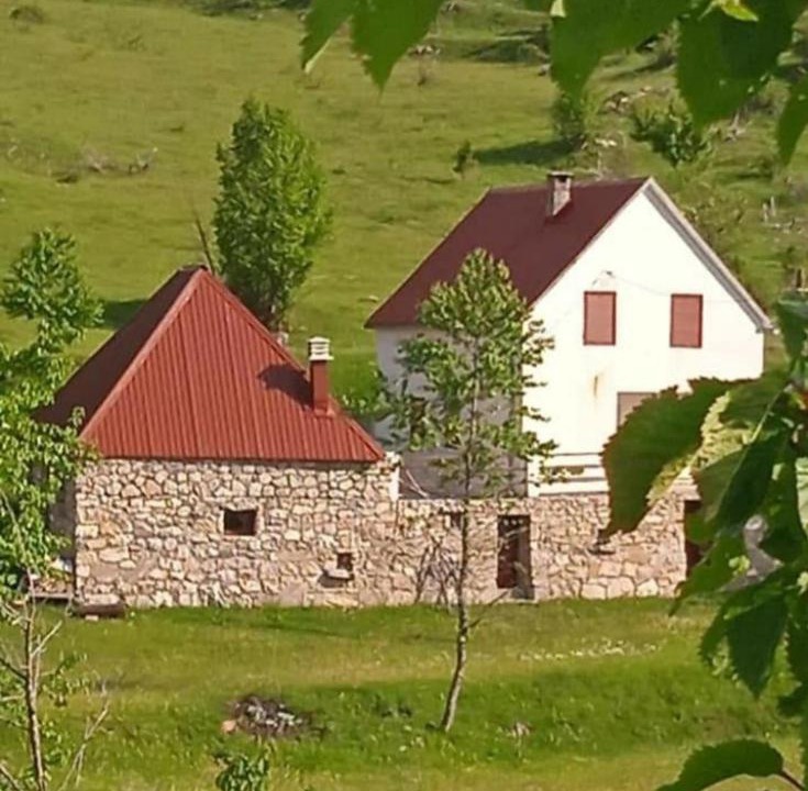 Photo of Others in Savnik