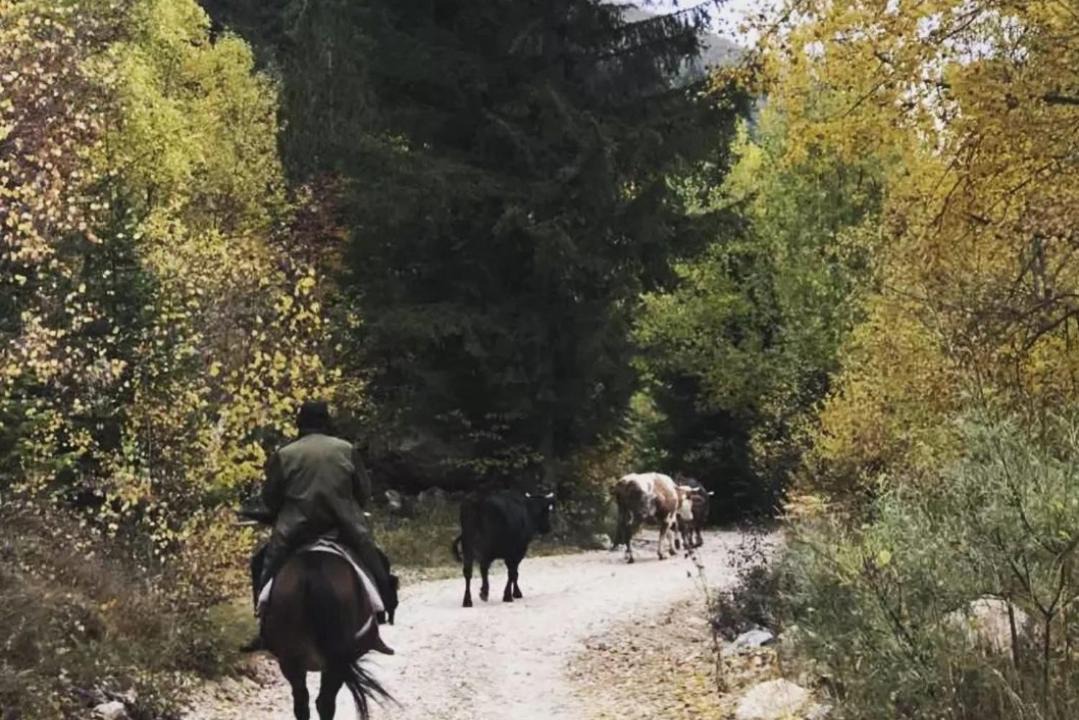 Photo of Others in Montenegro