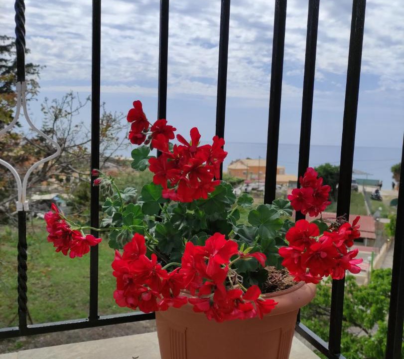 Photo of Patio Balcony in Skala