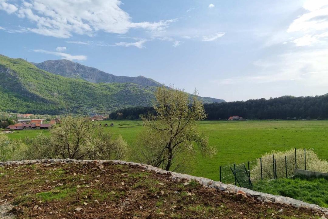 Photo of Others in Donje Polje