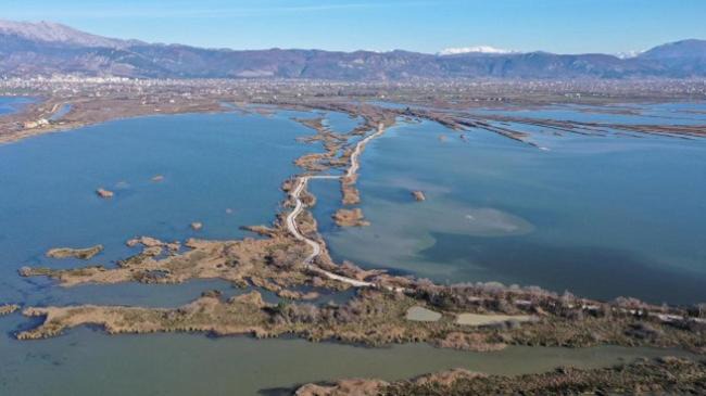 Photo of Others in Shengjin