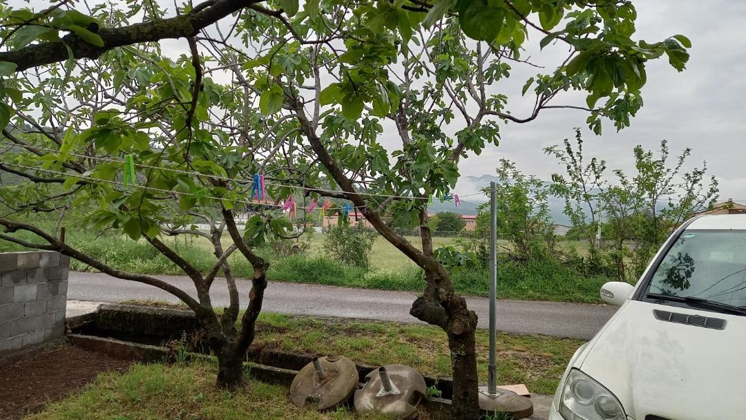 Photo of Others in Podgorica