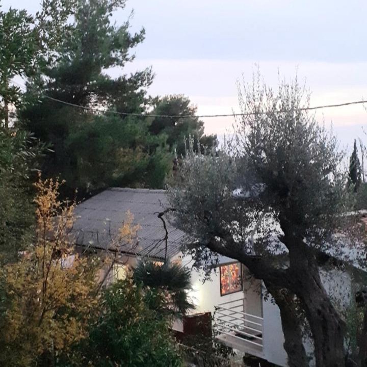 Photo of Others in Sutomore