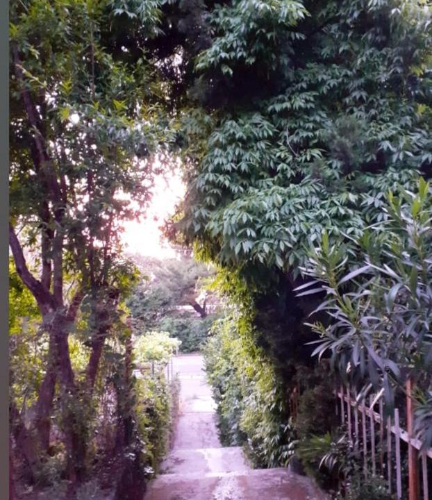 Photo of Others in Sutomore