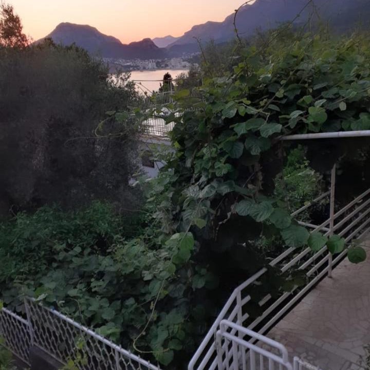 Photo of Others in Sutomore