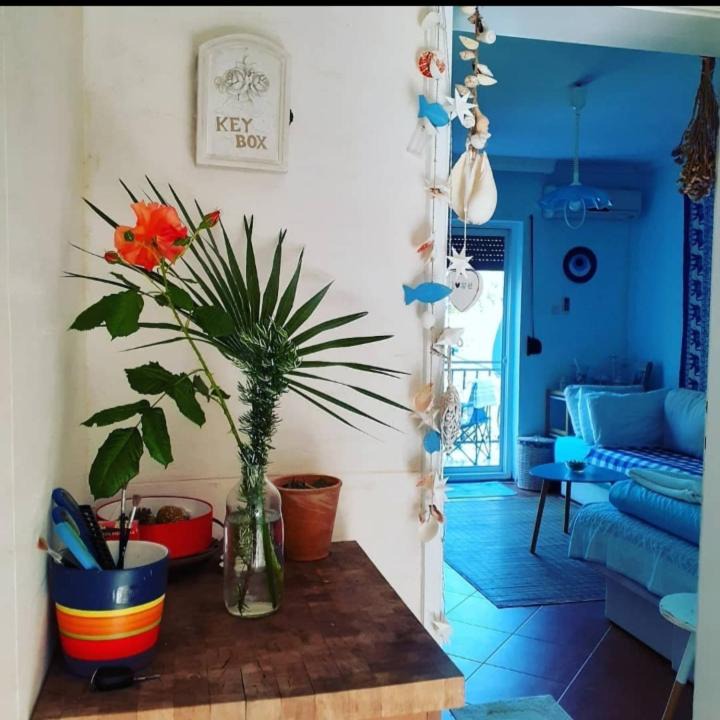 Photo of Livingroom in Sutomore