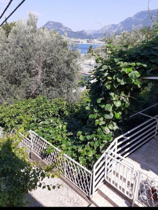 Photo of Others in Sutomore