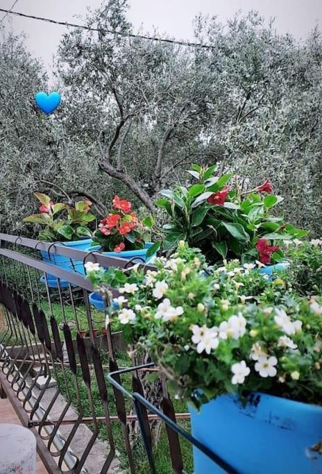 Photo of Outdoor in Sutomore