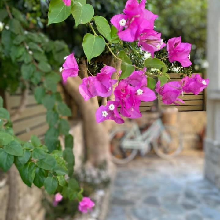 Photo of Others in Paxos