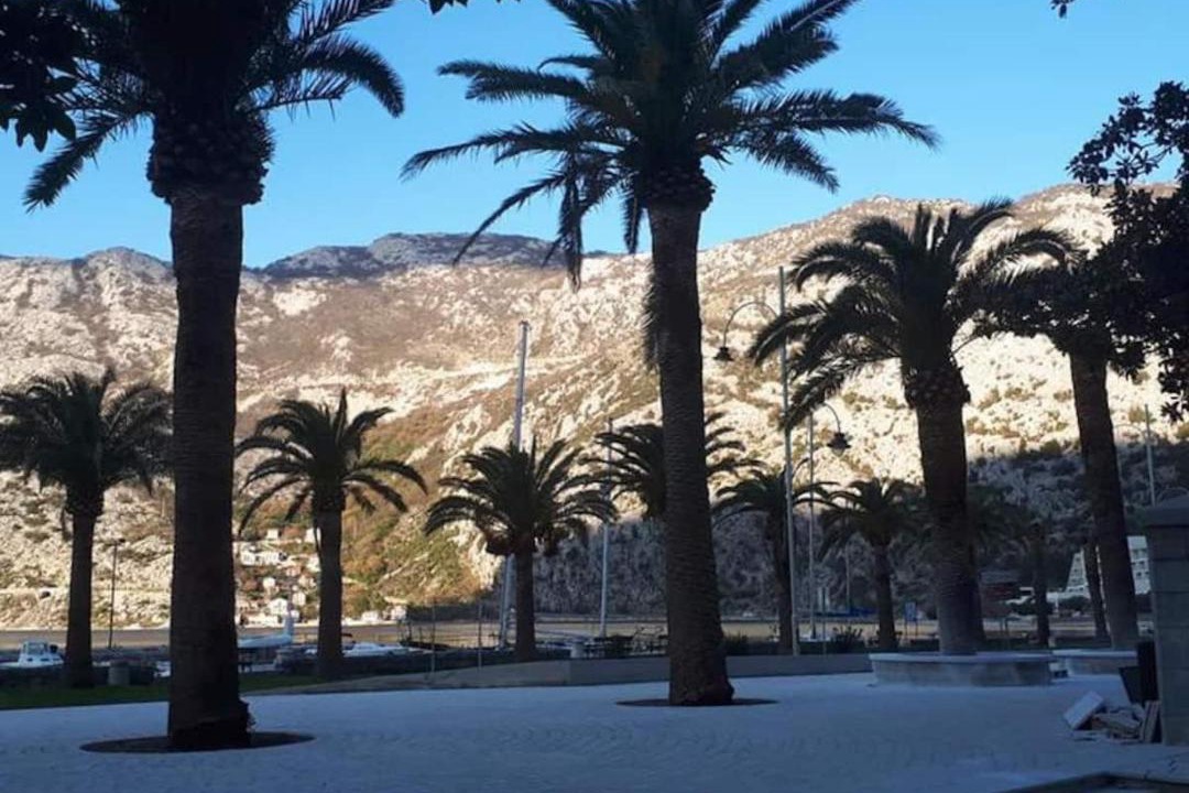 Photo of Outdoor in Risan