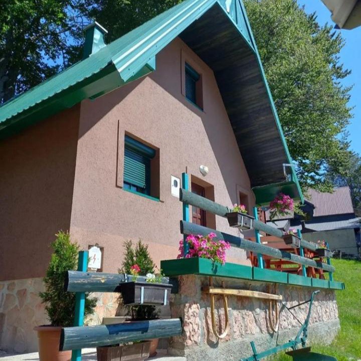Photo of Others in Zabljak