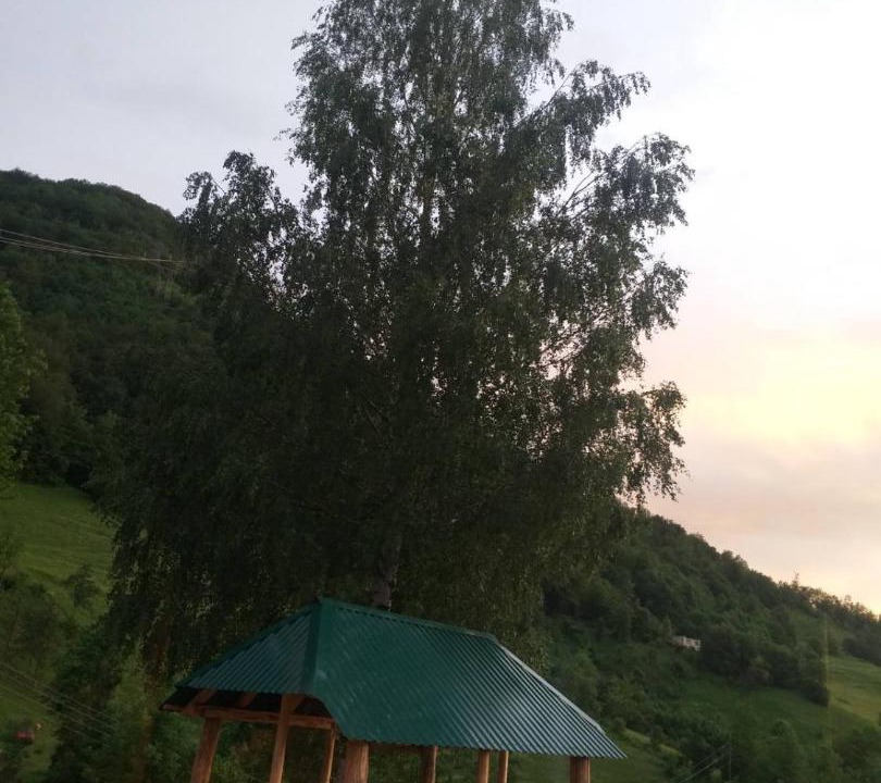 Photo of Others in Mojkovac