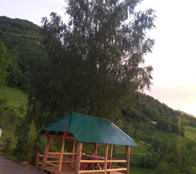 Photo of Others in Mojkovac