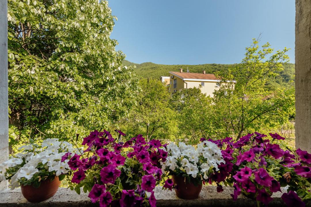 Photo of Others in Zelenika