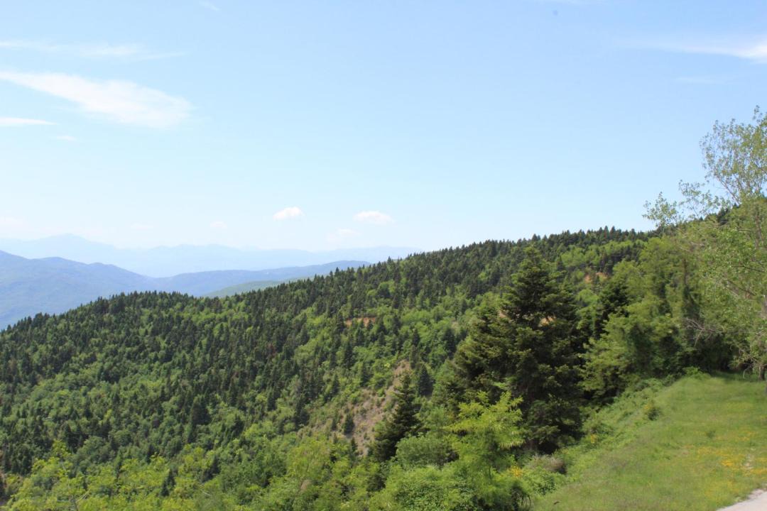 Photo of Others in Elatou