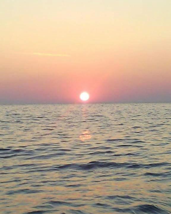 Photo of Others in Seoca