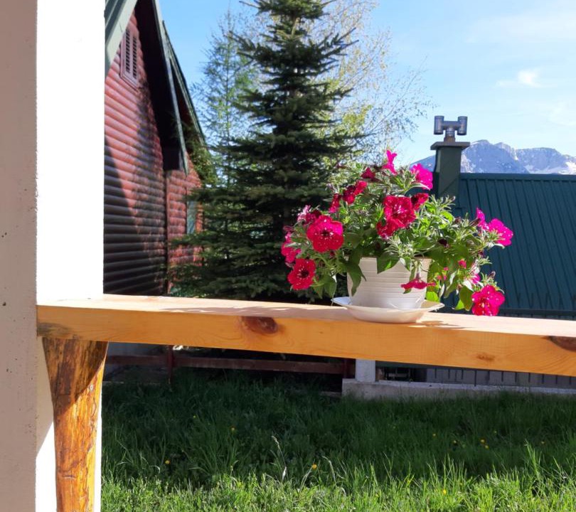 Photo of Others in Zabljak