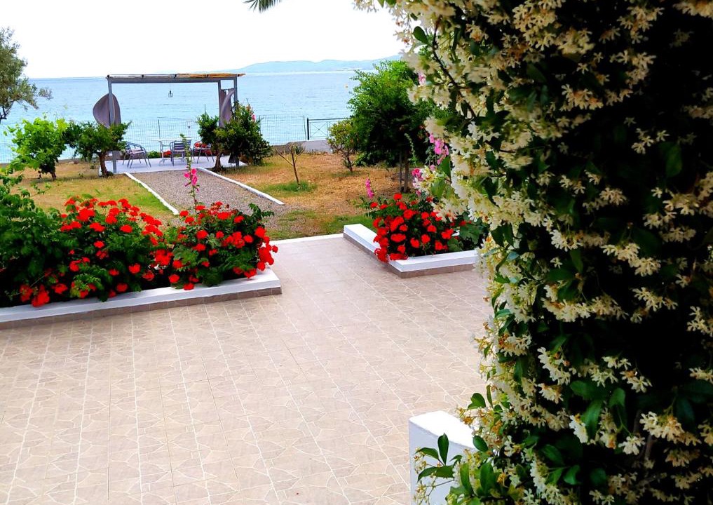 Photo of Others in Pefkos