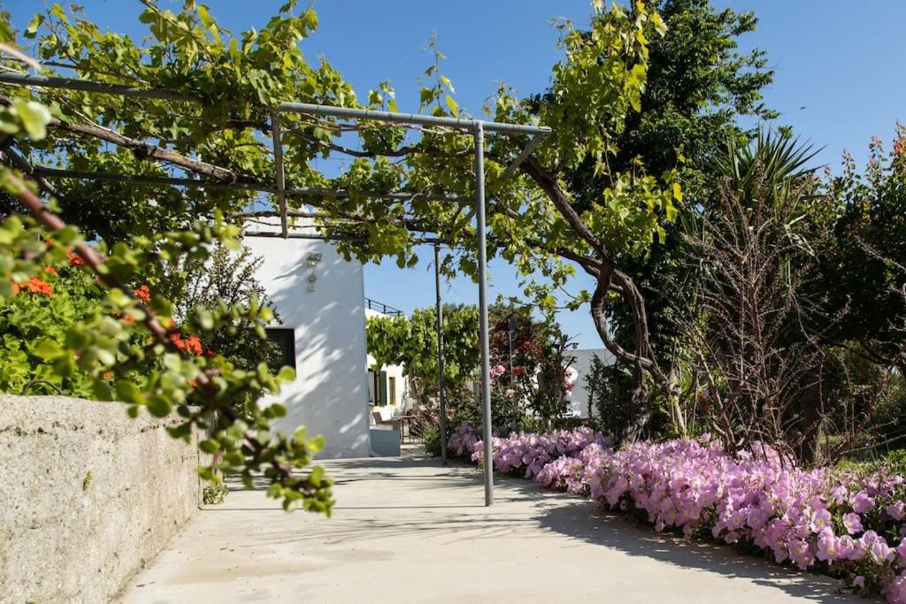 Photo of Others in Kos Town