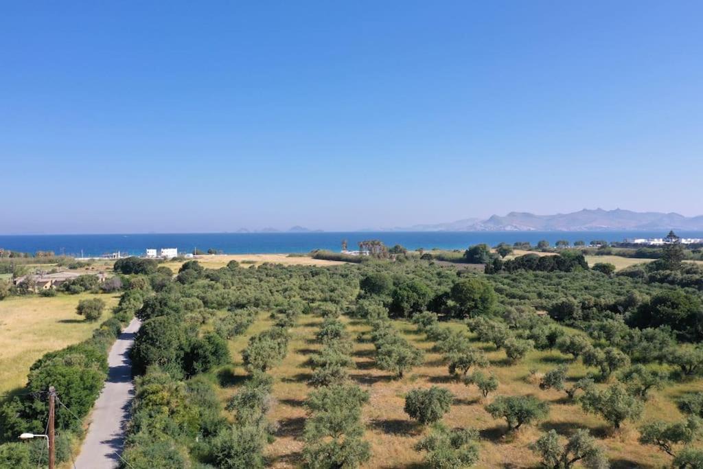 Photo of Others in Kos Town